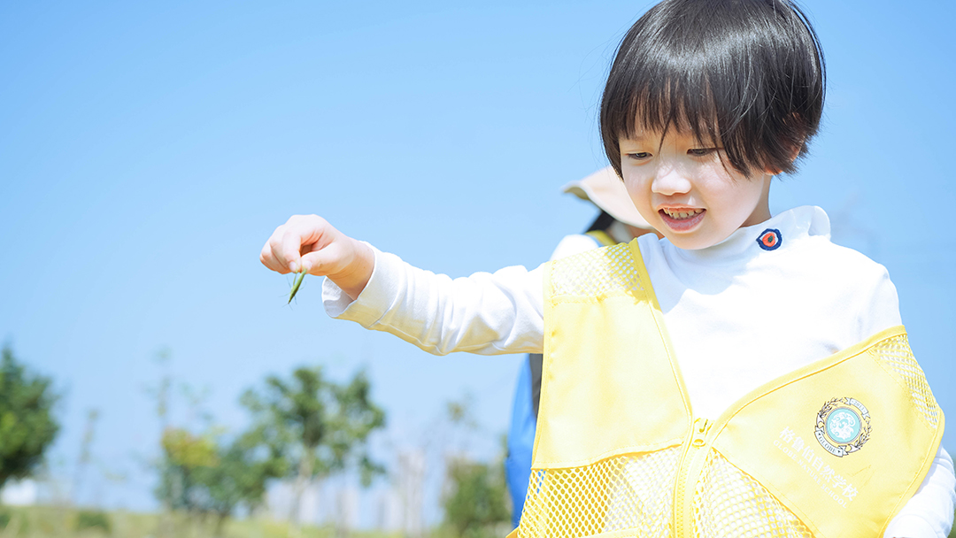 幼儿园自然活动
