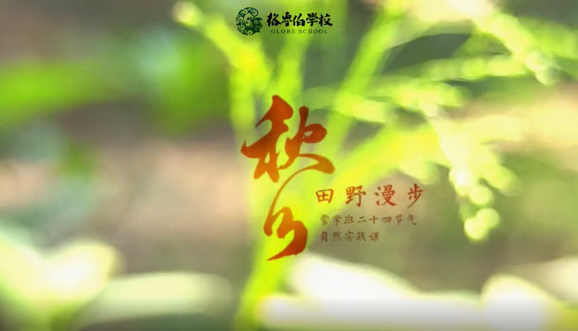 幼儿园二十四节气 秋分