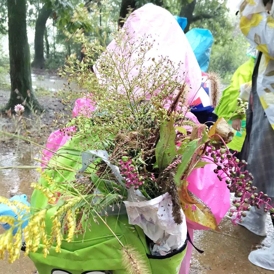 2020秋少年营精彩回顾