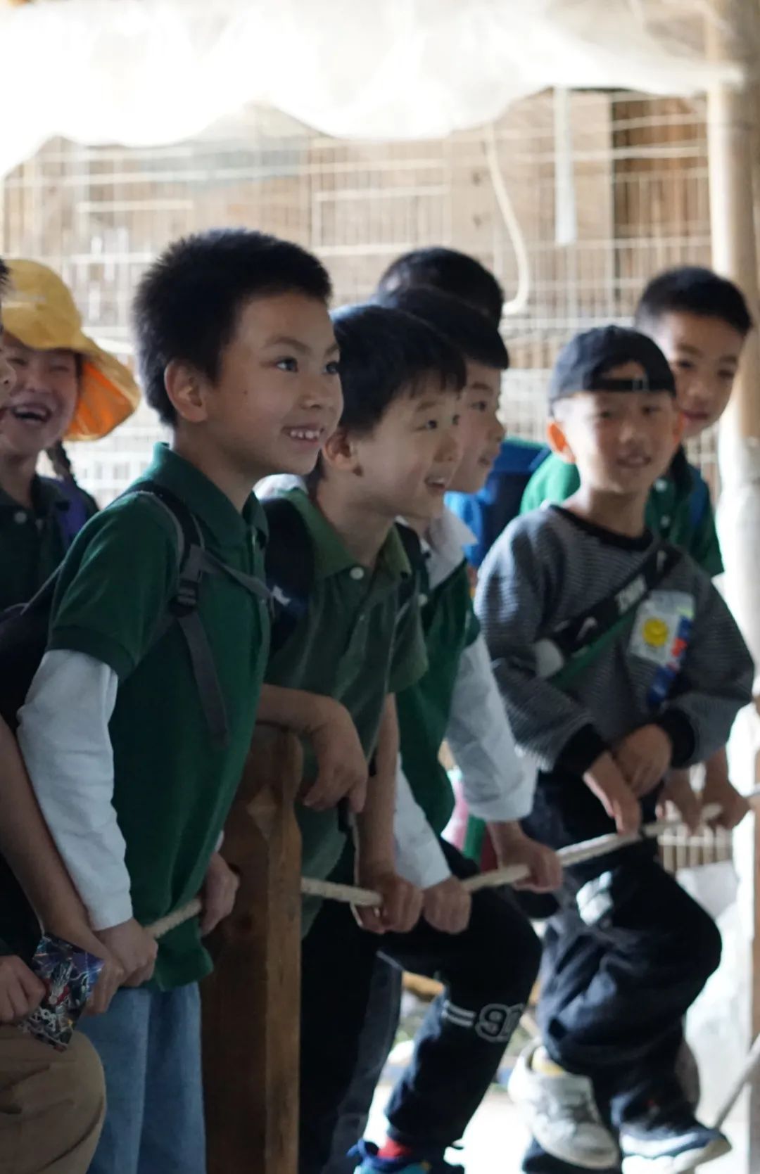 格鲁伯的孩子 寻春之旅(图24) 图片