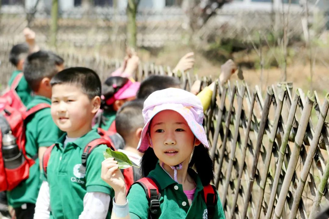 格鲁伯的孩子 寻春之旅(图27) 图片