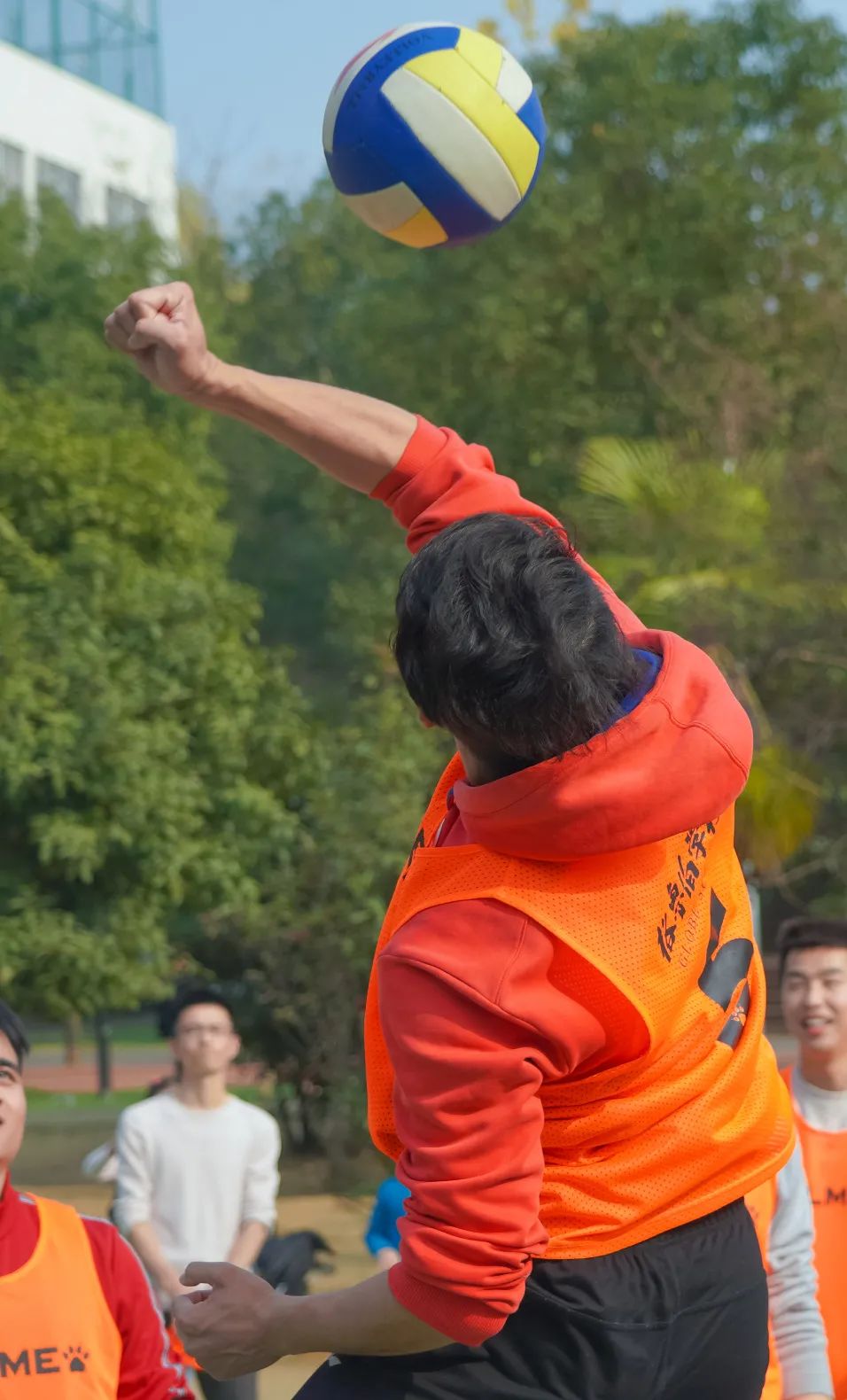 林待秋梧桐湖学校排球精神,永不落幕(图19) 图片