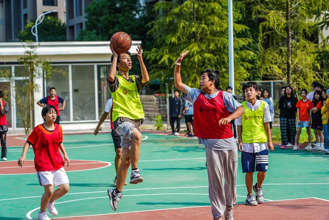 林待秋梧桐湖学校排球精神,永不落幕(图26) 图片