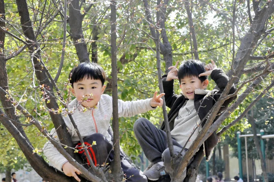 我的孩子在格鲁伯 | 在一所独一无二的学校享受成长的静美(图5) 图片