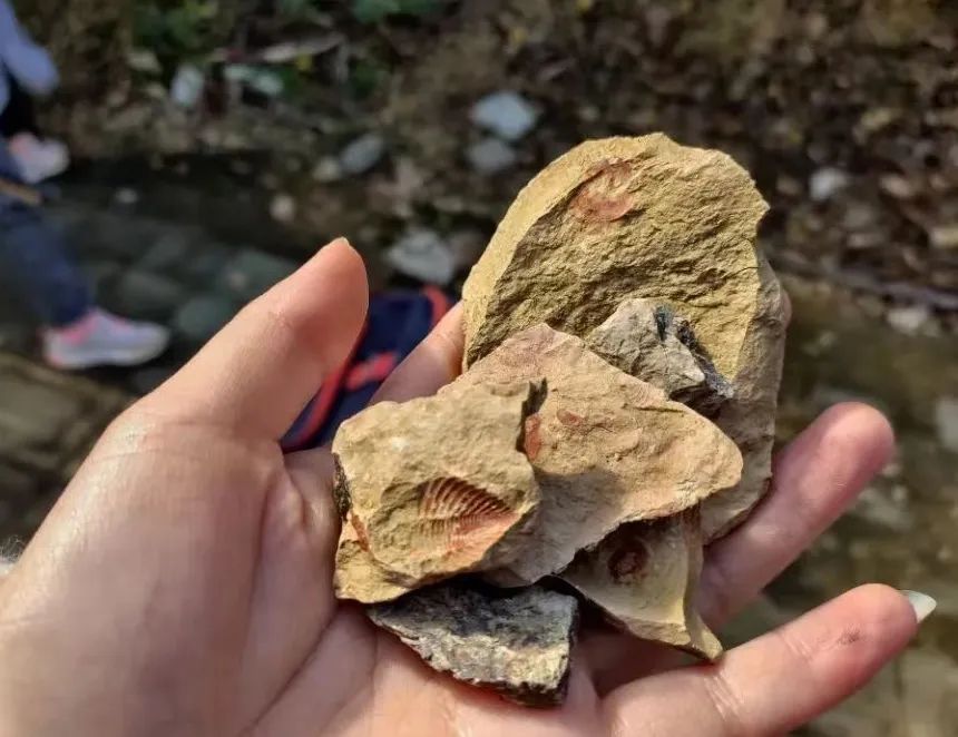 我的孩子在格鲁伯 | 在一所独一无二的学校享受成长的静美(图9) 图片