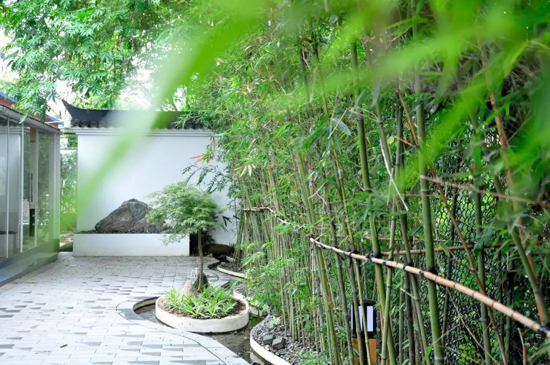 跟随“格鲁伯游记”,一起打开最美春色(图6) 图片